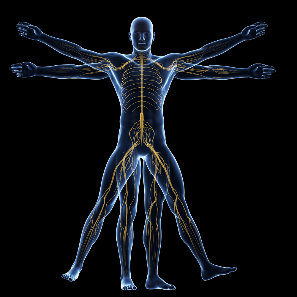 humana