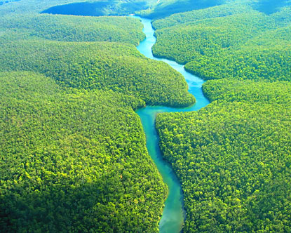 selva-amazonica