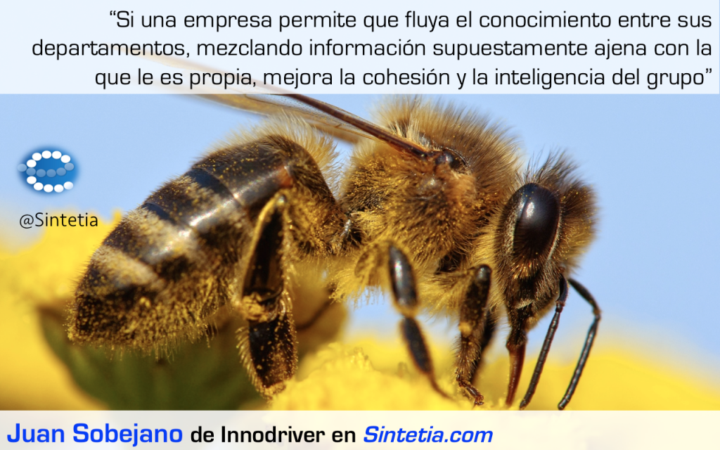 Polinizar_Innovación_Sintetia