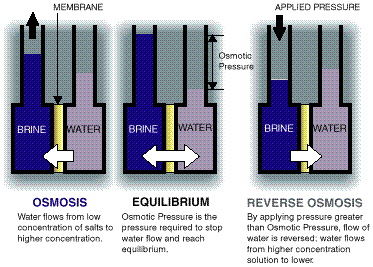 roprocess