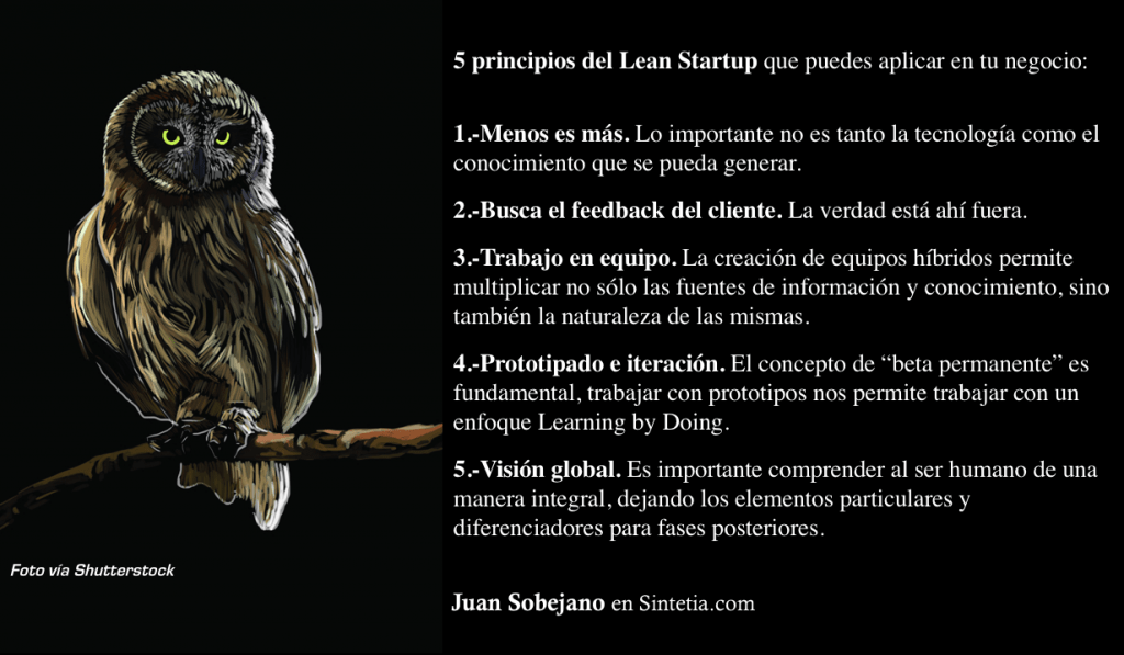 5 Principios Lean Startup